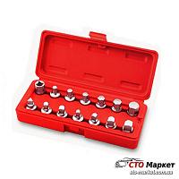 Комплект головок для маслосливных пробок 12 ед. Profline (31156)